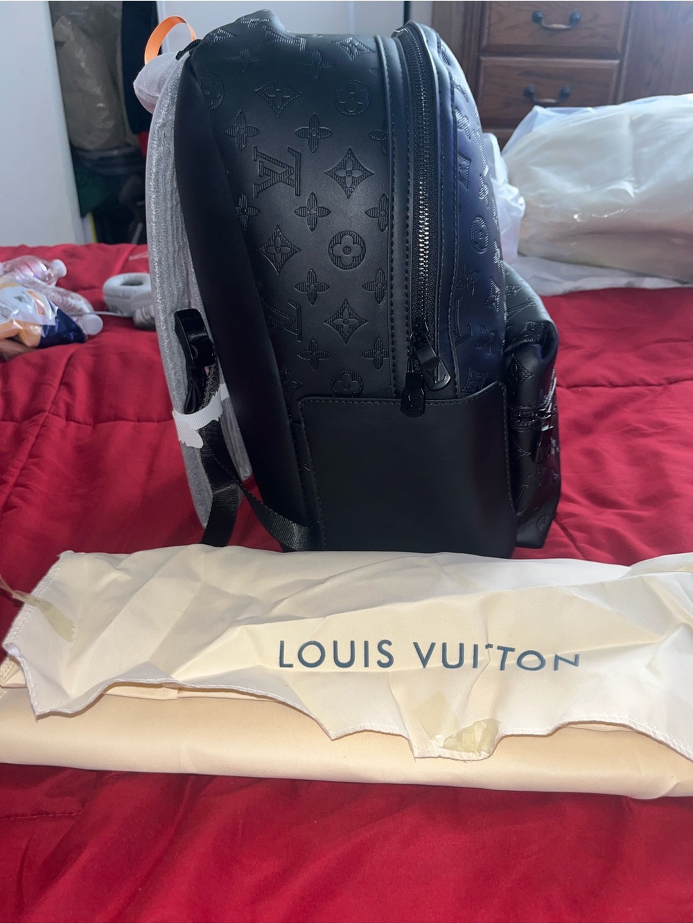LV Backpack - Picture 3 of 7